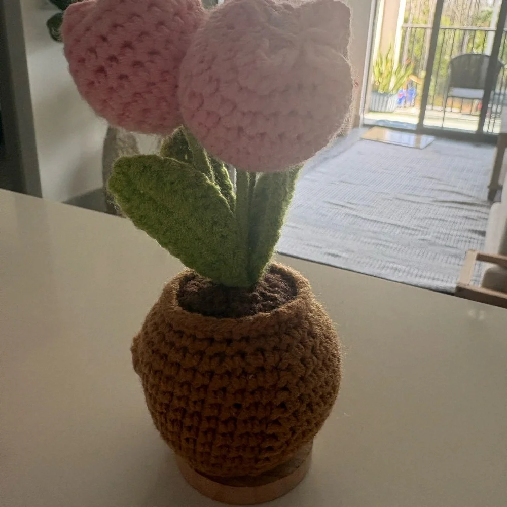 Charming Pink Crochet Flower Pot with Green Leaves “Thank you for helpingme grow